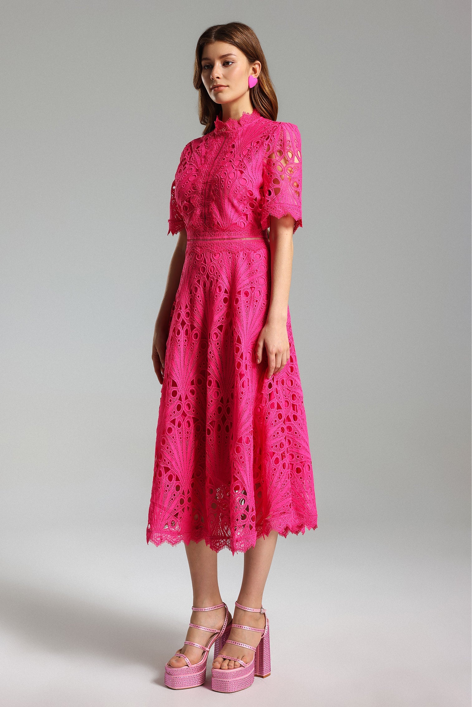 Liana Midi Dress - Stunning Lace Overlay - Feminine Silhouette - High Neckline - Flowy Skirt - Intricate Detailing
