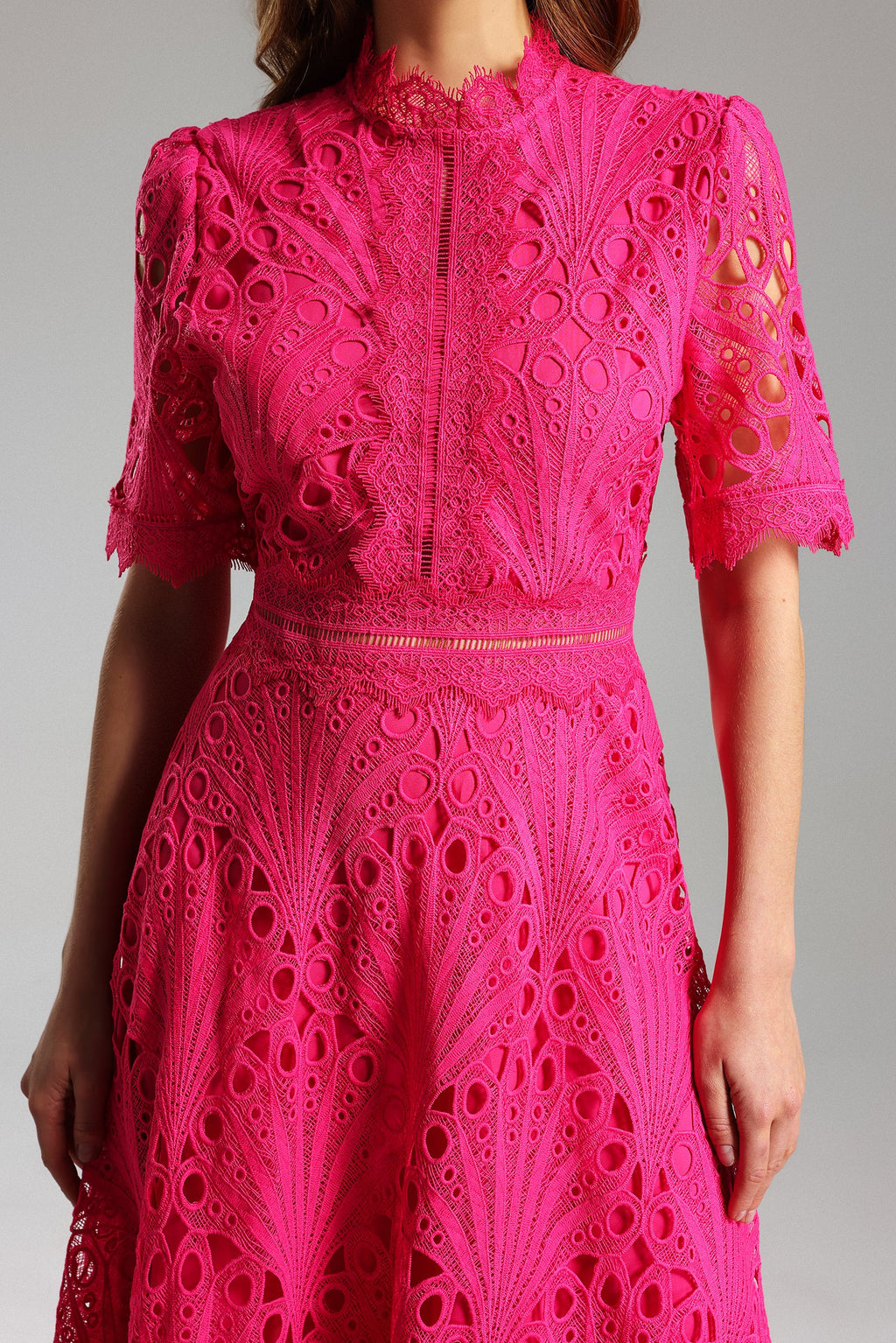 Liana Midi Dress - Stunning Lace Overlay - Feminine Silhouette - High Neckline - Flowy Skirt - Intricate Detailing