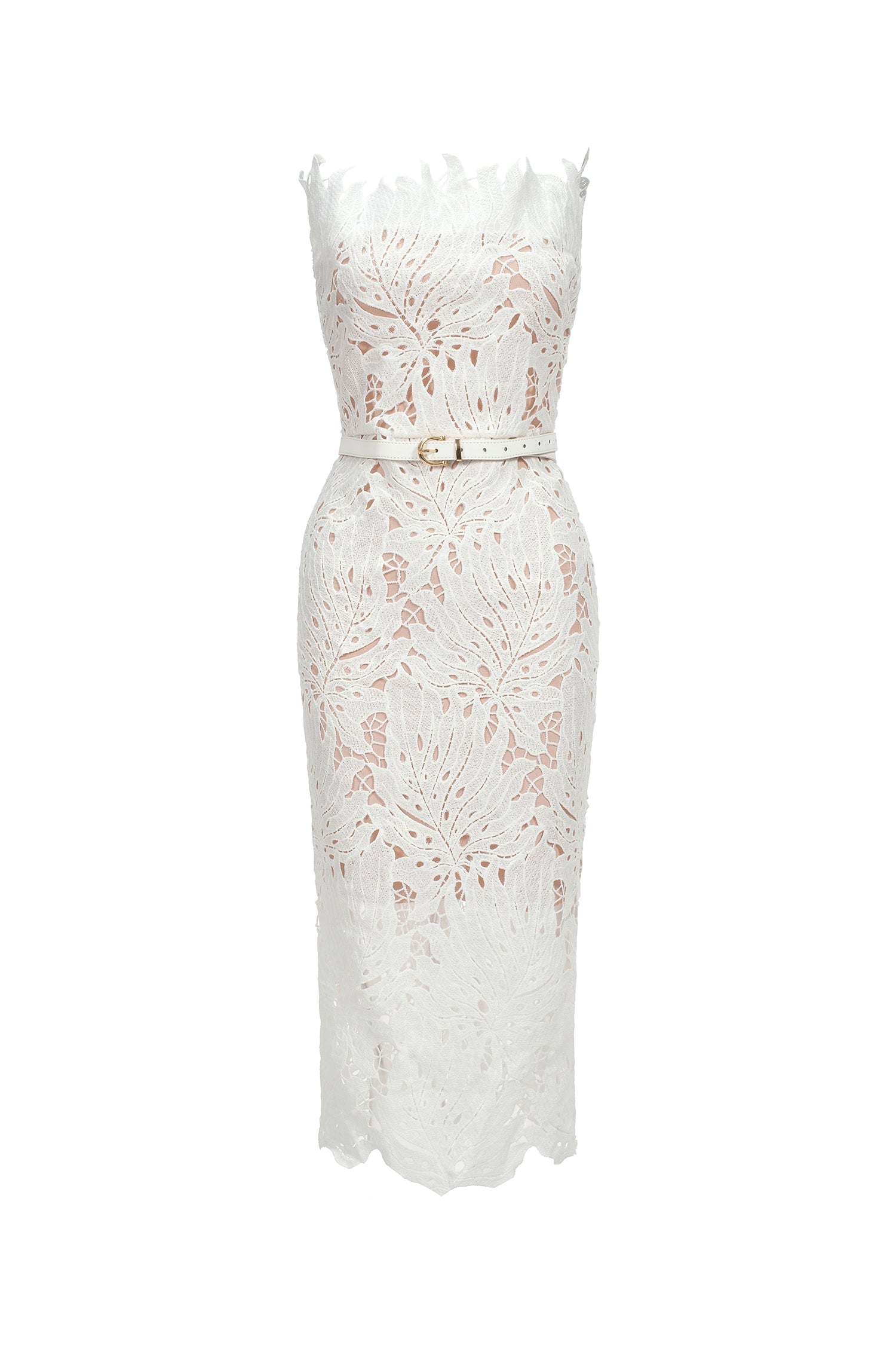 Esme Midi Dress - Strapless - Lace Detailing - Fitted Silhouette - Versatile