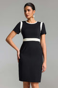 Aida Black Elegant Sophisticated Chic Silhouette Dress