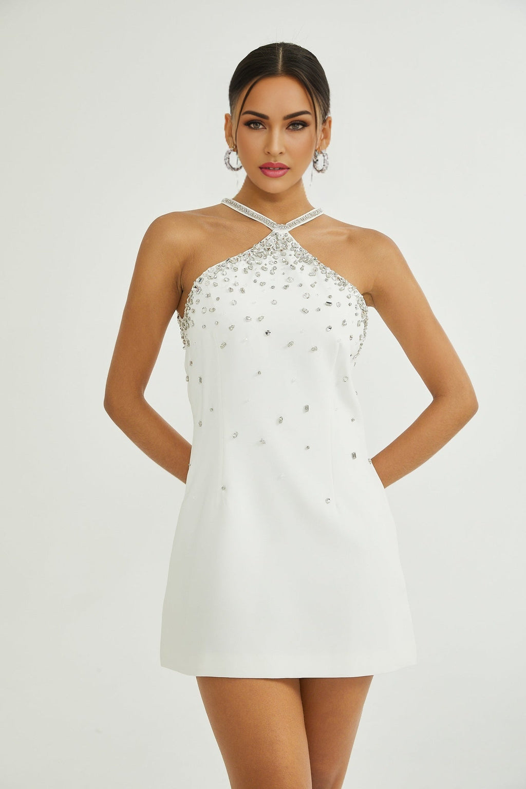 Alessandra Mini Dress - Collar Design - Sleeveless Style - Embellished Details - Zipper Closure