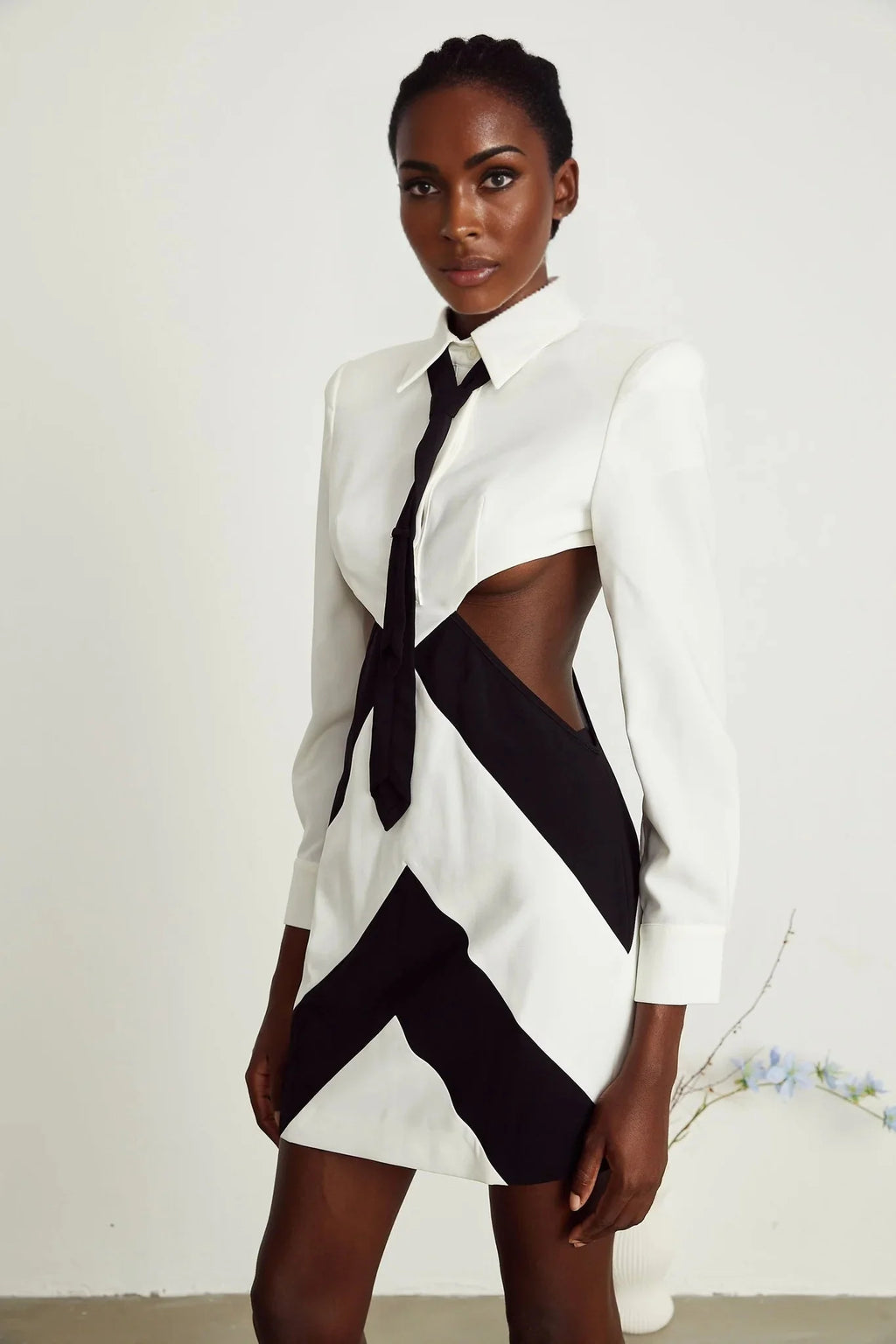 Alexis Mini Dress Cut - out White & Black