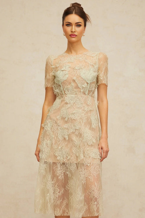 Angel Midi Dress Mint - Green Floral - Lace & Boned Bodice