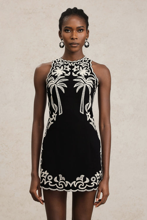 Beata Black Embroidered Sleeveless Dress with Round Neckline
