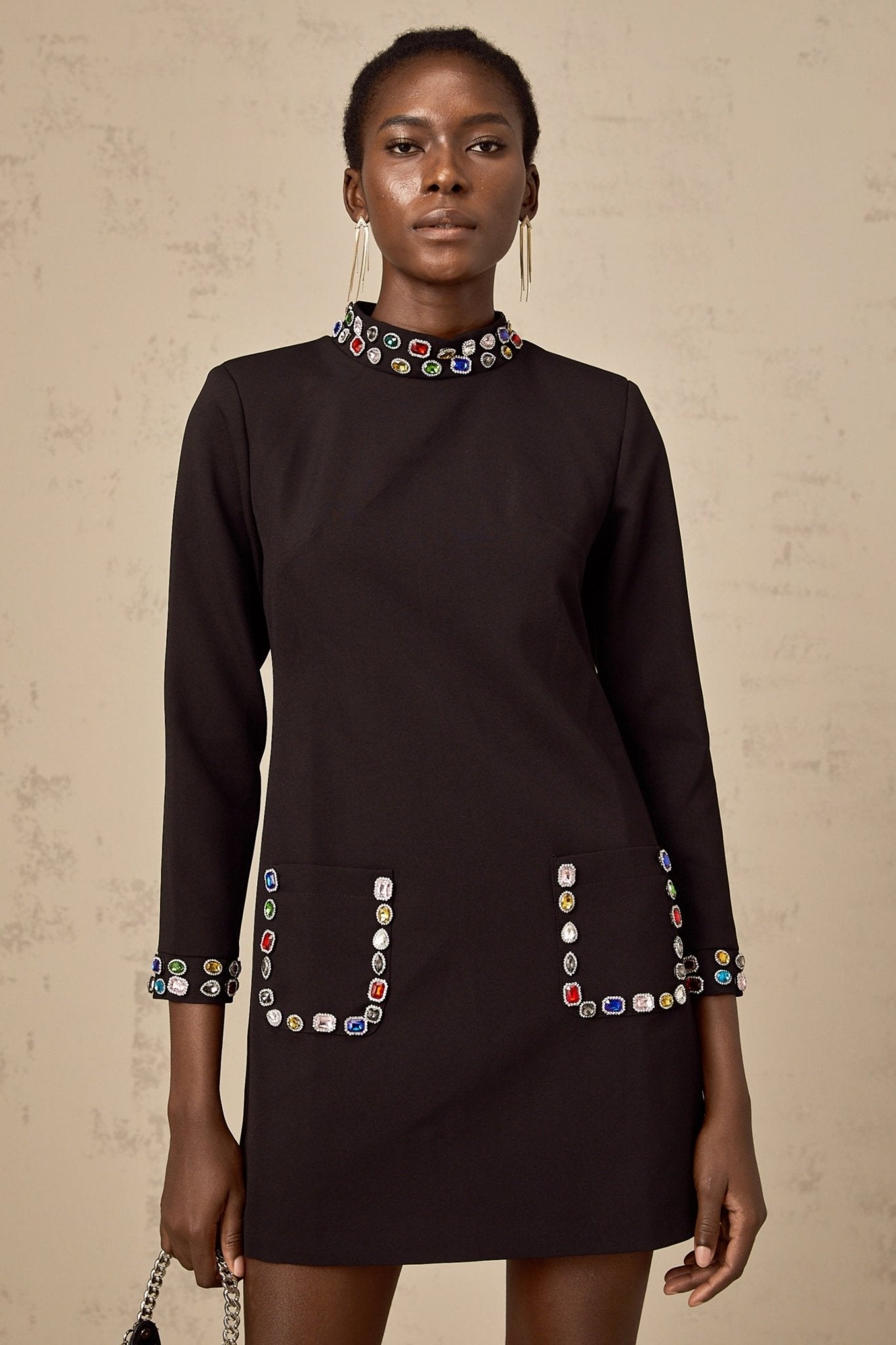 Bruna Long Sleeve Mini Dress - Mock Neck - Crystal Embellishment - Patch Pockets - Rear Zip Fastening