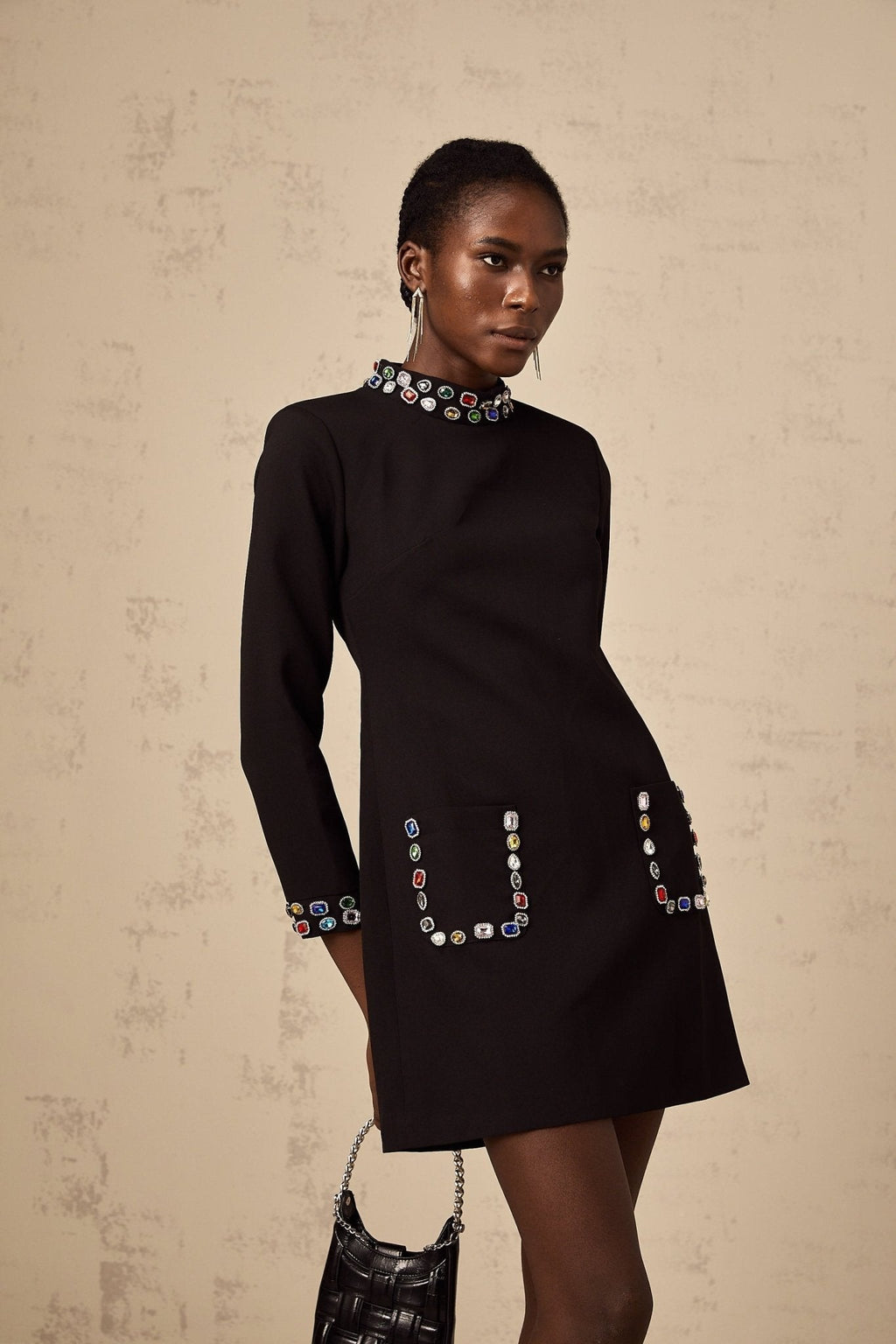 Bruna Long Sleeve Mini Dress - Mock Neck - Crystal Embellishment - Patch Pockets - Rear Zip Fastening