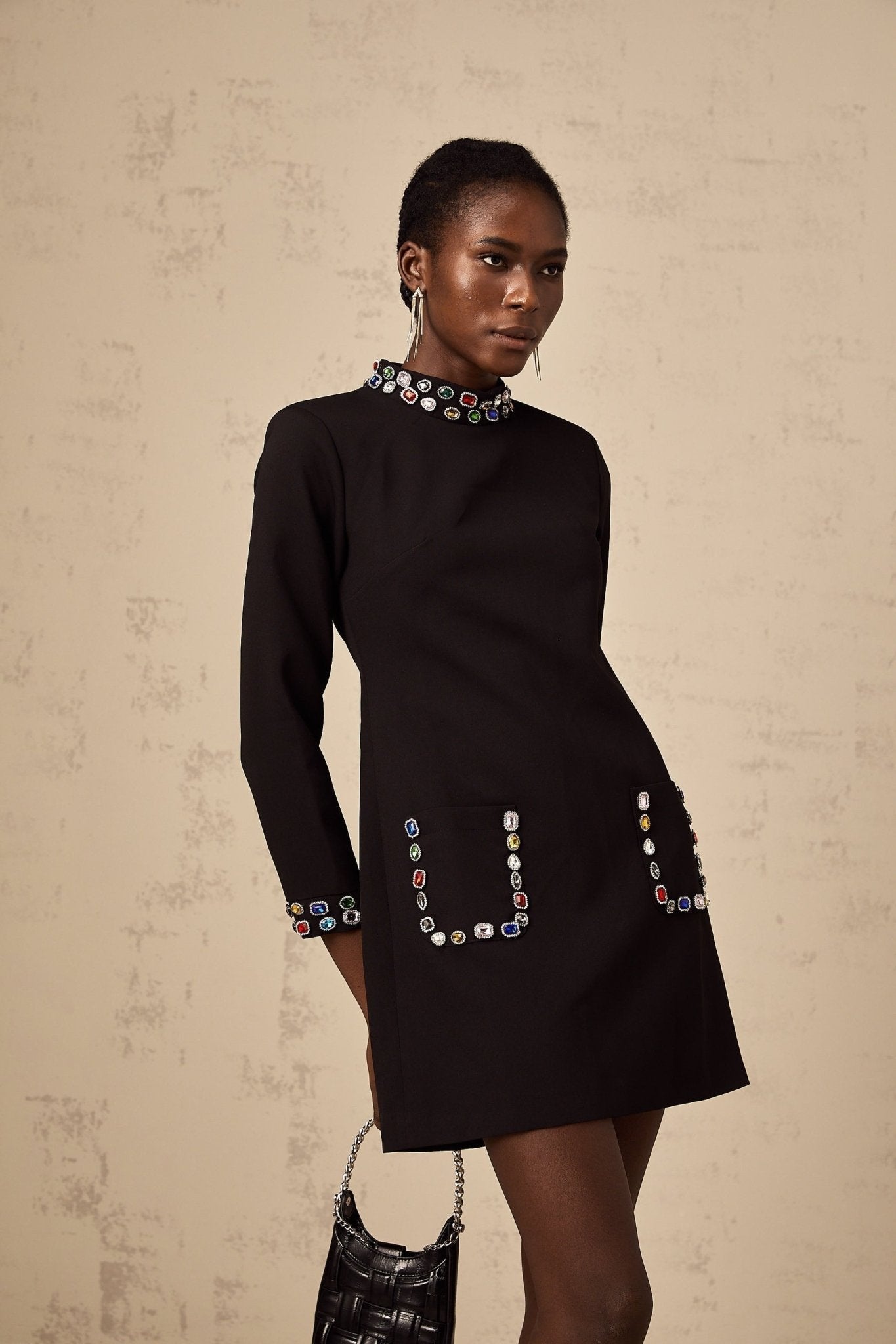 Bruna Long Sleeve Mini Dress - Mock Neck - Crystal Embellishment - Patch Pockets - Rear Zip Fastening