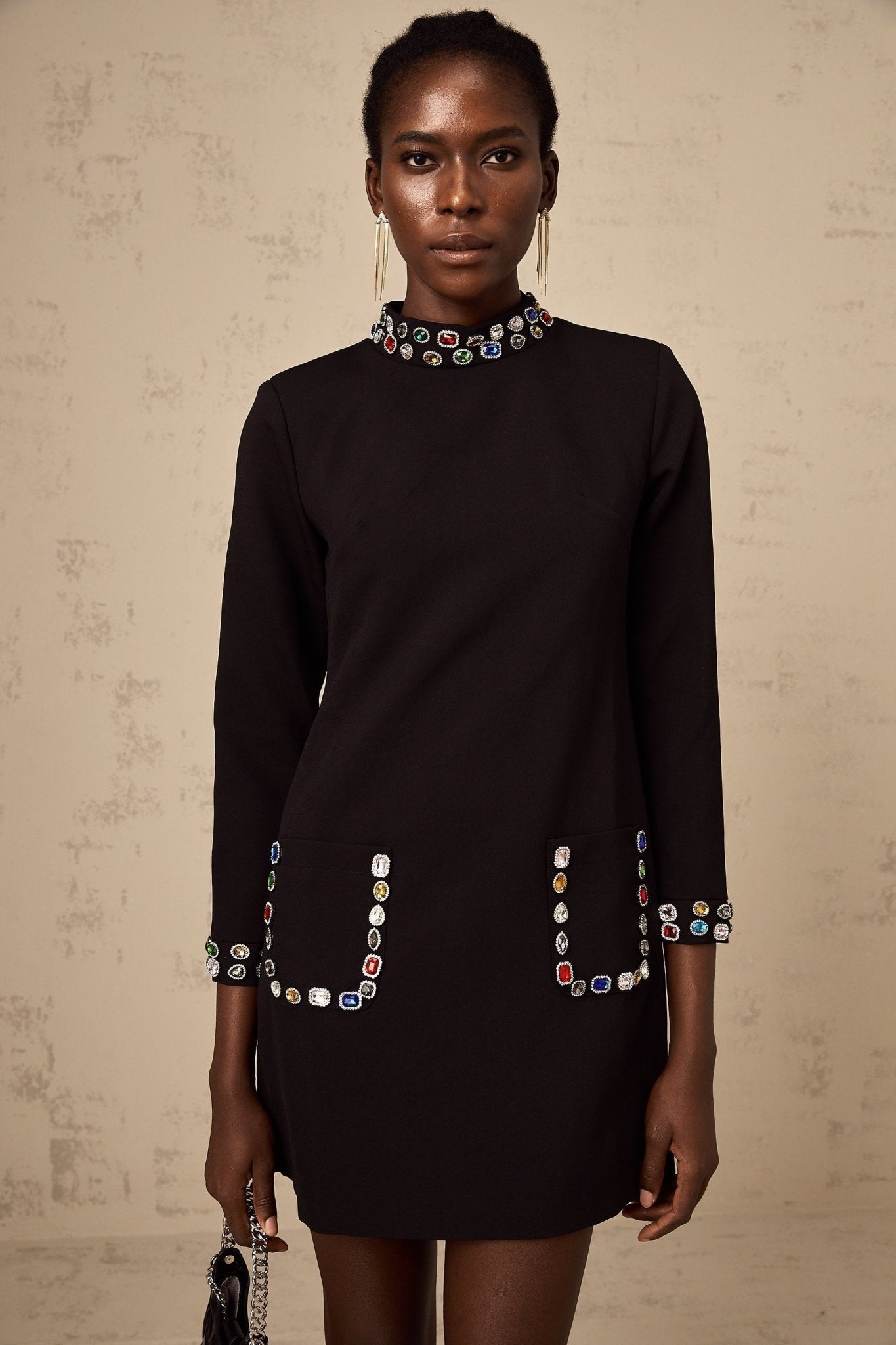 Bruna Long Sleeve Mini Dress - Mock Neck - Crystal Embellishment - Patch Pockets - Rear Zip Fastening