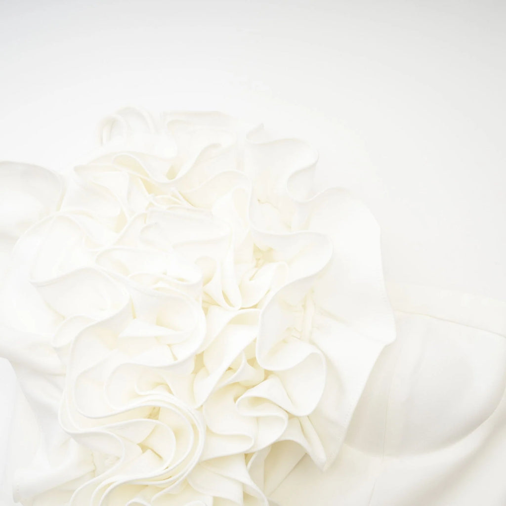 Caterina Floral Top - Off - the - shoulder Style - Sleeveless Design - Floral Applique Detailing - Rear Zip Fastening