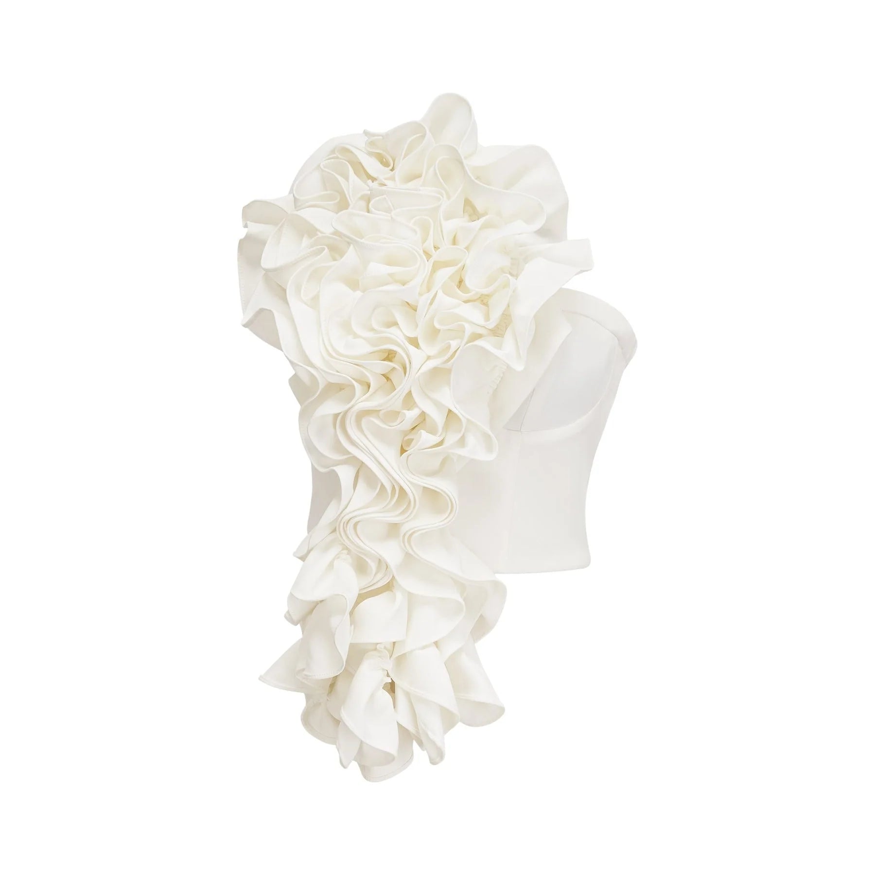 Caterina Floral Top - Off - the - shoulder Style - Sleeveless Design - Floral Applique Detailing - Rear Zip Fastening