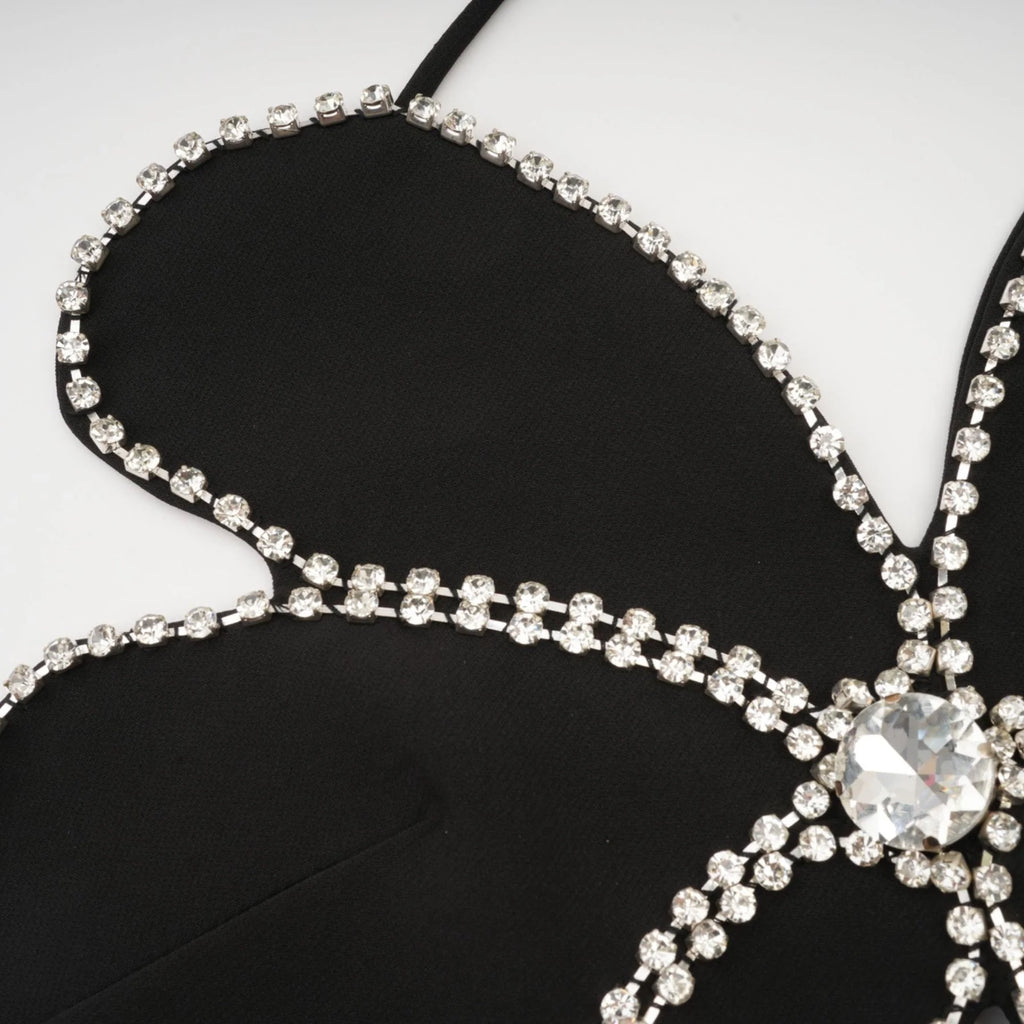 Daphne Top - Halterneck - Sleeveless - Backless - Crystal Embellishment - Floral Motif - Cropped
