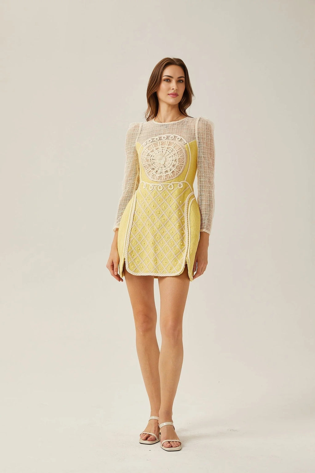 Diana Mini Dress - Faux - Pearl Embellishment - Semi - Sheer Construction - Long Sleeves - A - Line Silhouette - Rear Zip Fastening