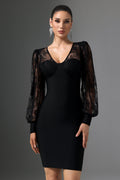 Filippa Black Lace Sleeve V-Neck Dress