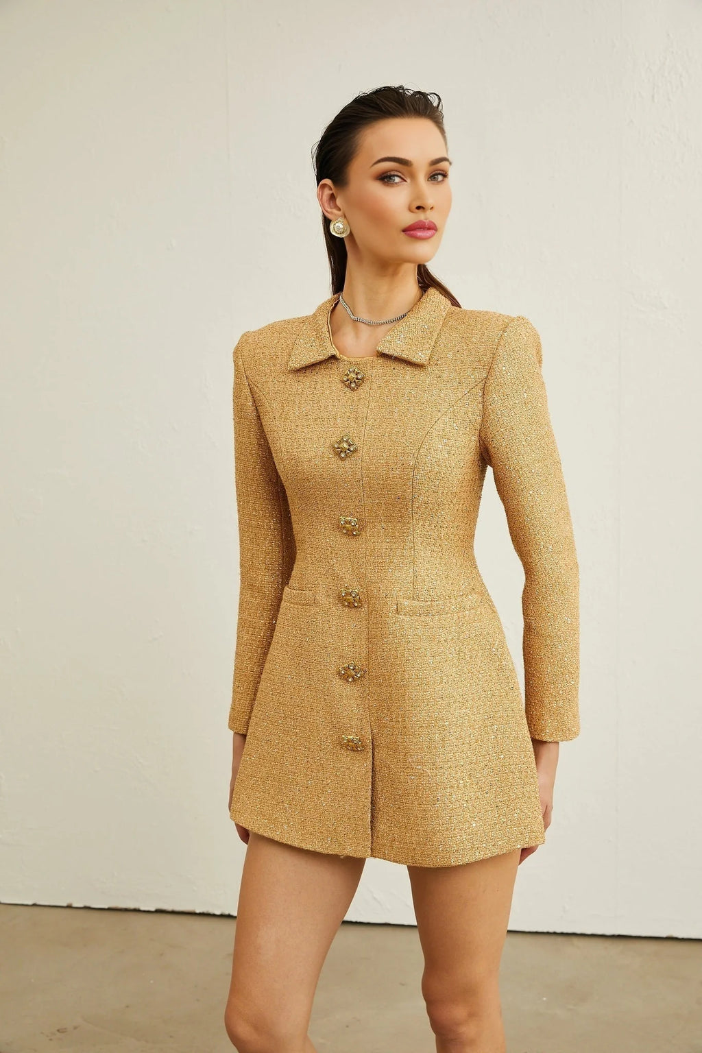Franceschina Long Sleeve Mini Dress - Tweed - Classic Collar - Embossed Buttons - Front Pockets