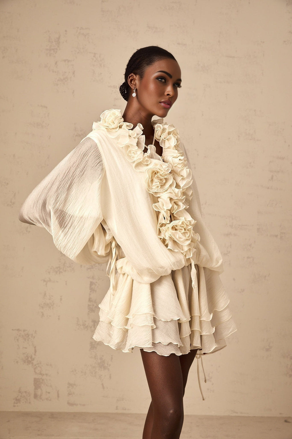 Holland Mini Dress – V - neck – Long Puff Sleeves – Floral Appliqué