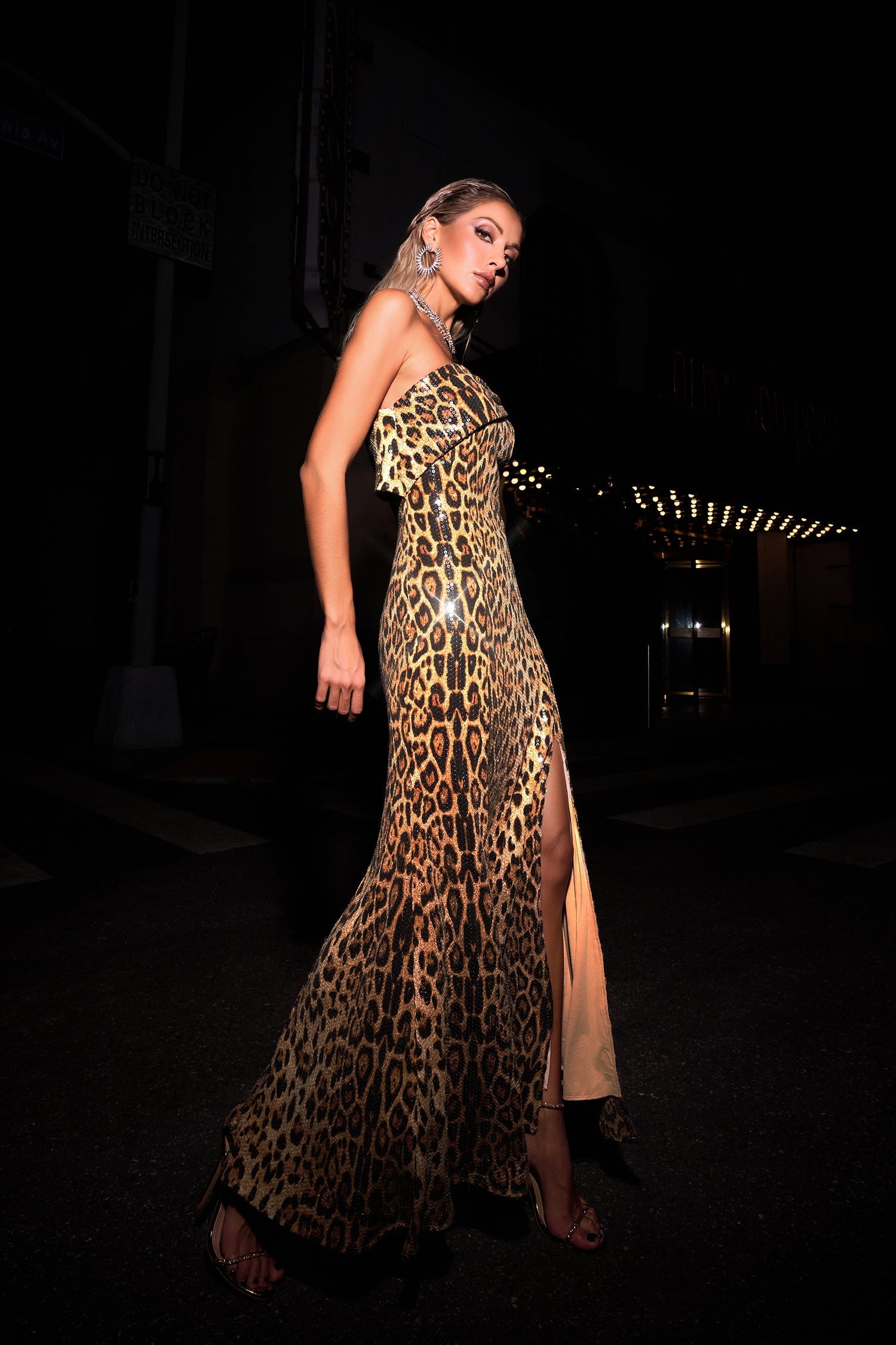 Ivana Beige Sequin Animal Print Maxi Dress