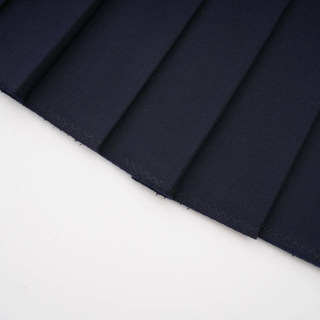 Lesly Skirt Navy Blue Embroidered Pleated ALine & Chic Mini Hem