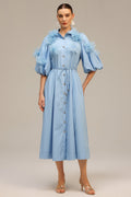Madalynn Blue Floral Appliqué Button-Front Dress