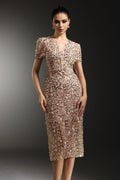 Margherita Beige Embellished V-Neckline Dress Short Sleeves Elegant Silhouette Special Occasion Fitted Waist Fashion-Forward Chic Accessories Radiant Confidence