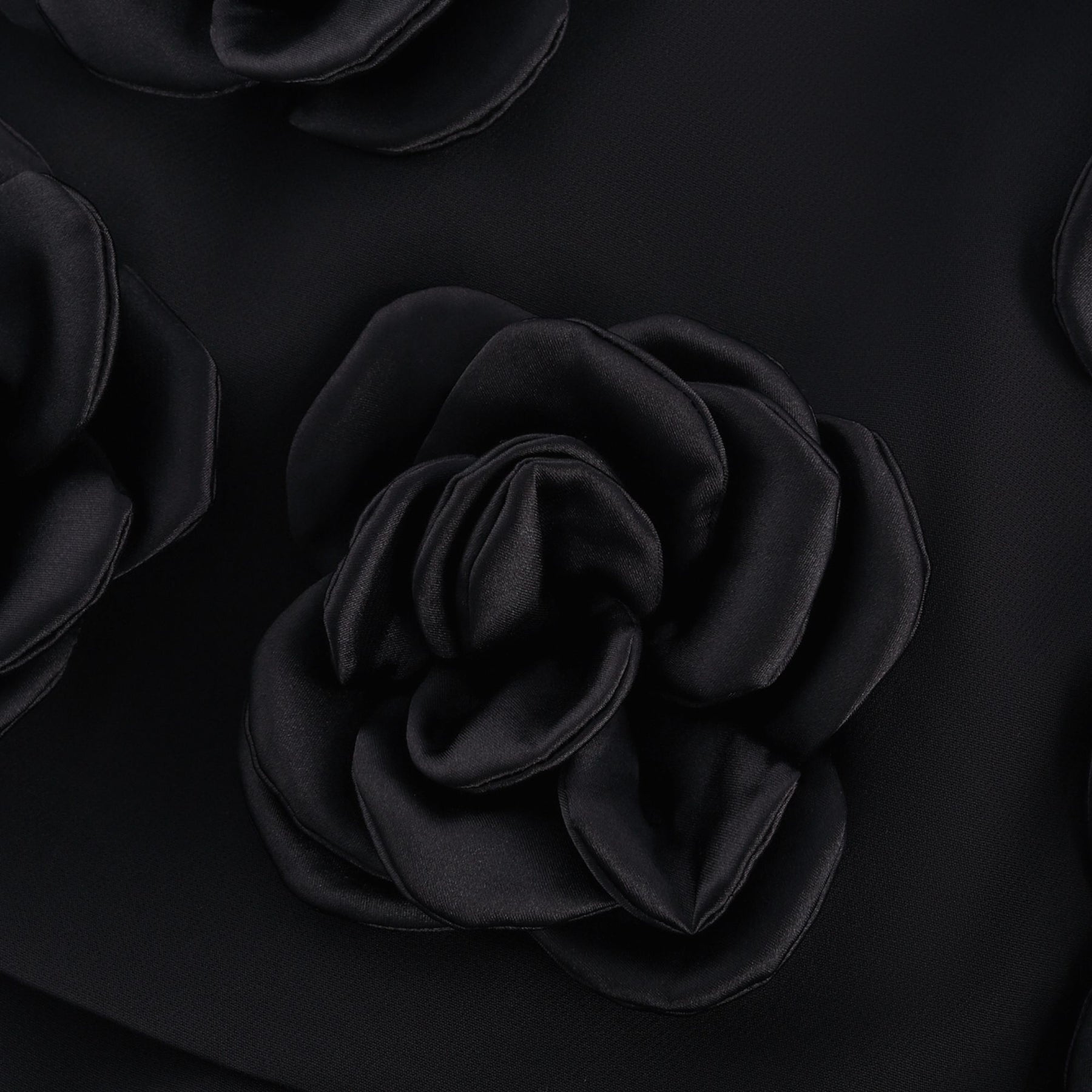 Nalini Black Thigh - Length Shorts With 3D Floral Appliqués