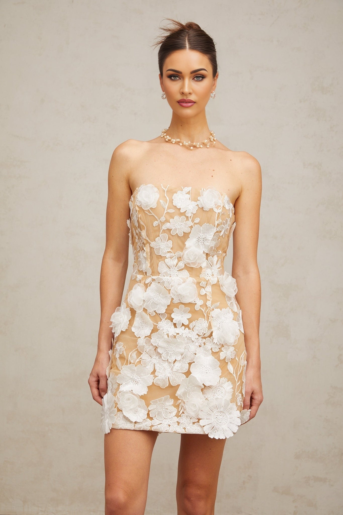 Renata Floral Embroidery Mini Dress