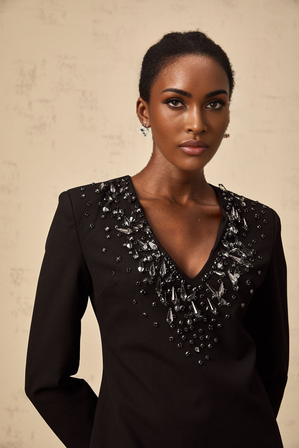 Renata Mini Dress Black Crystal Plunge ALine