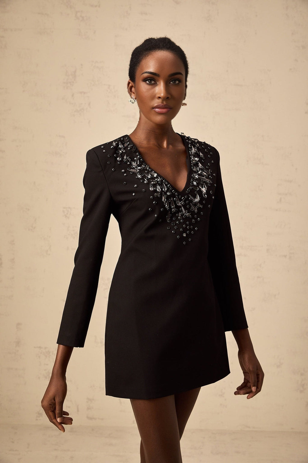 Renata Mini Dress Black Crystal Plunge ALine