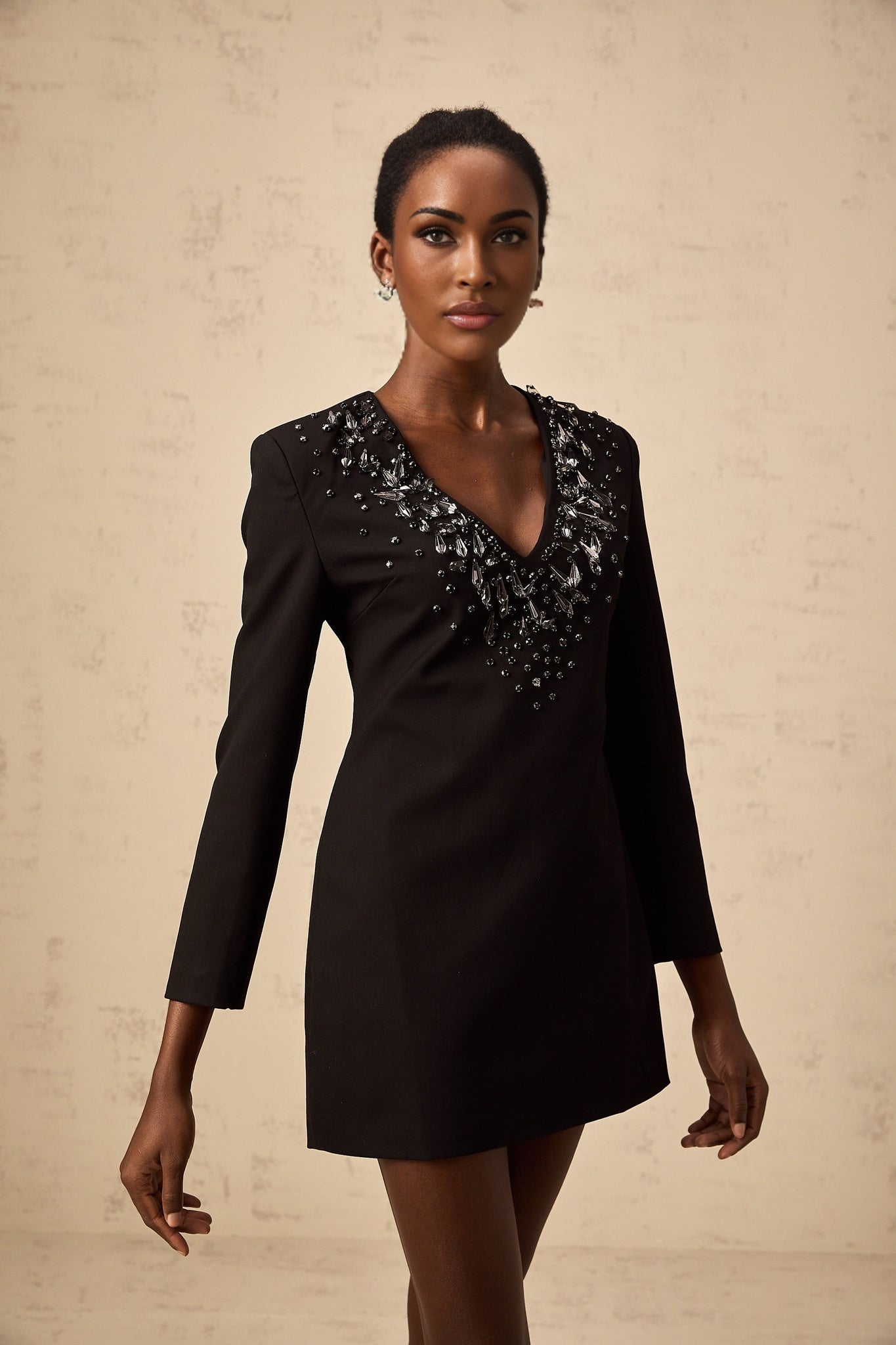 Renata Mini Dress Black Crystal Plunge ALine