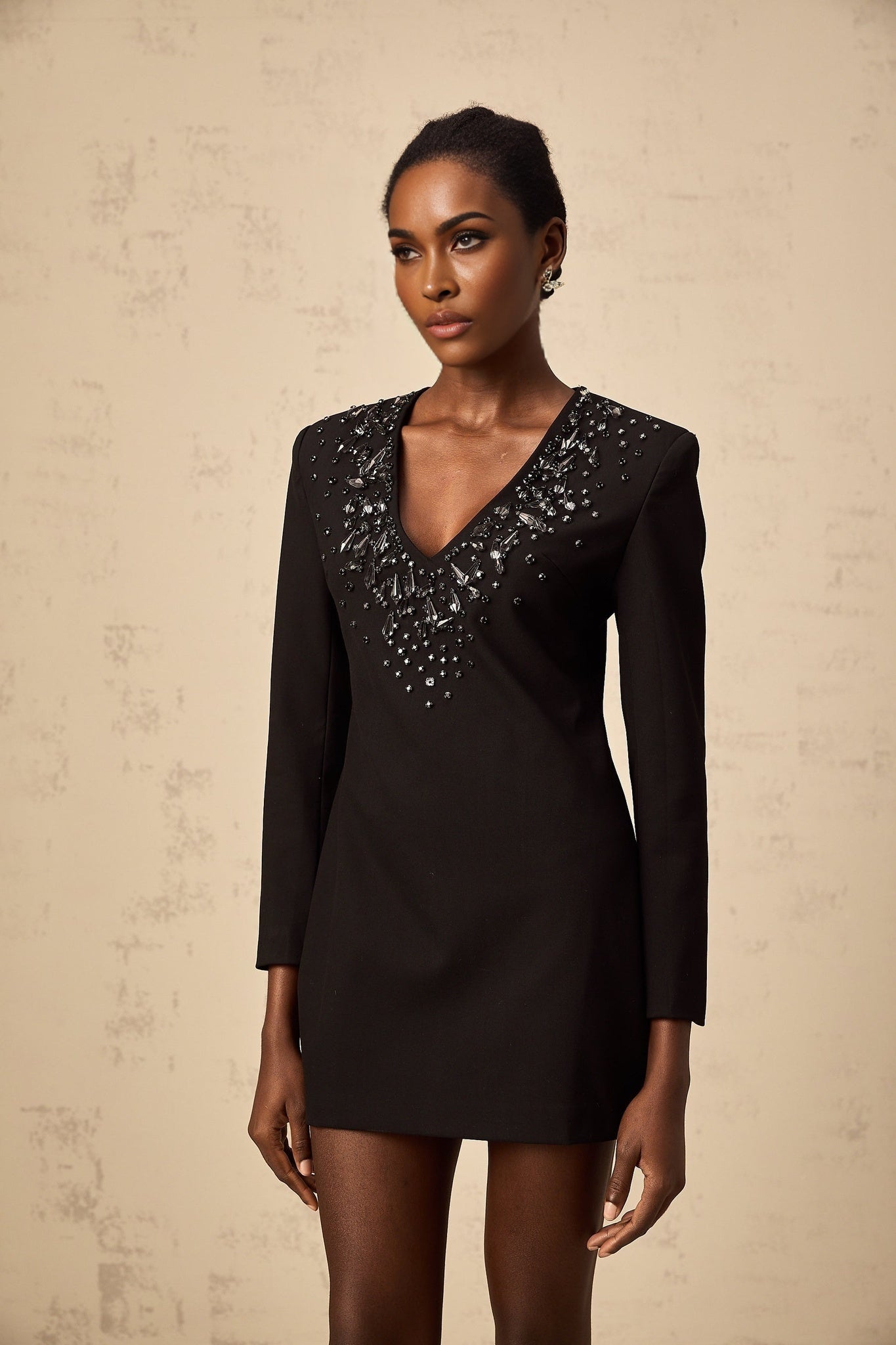 Renata Mini Dress Black Crystal Plunge ALine